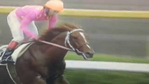 【競馬・菊花賞】ミホノブルボンの三冠は固いよな？