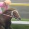 【競馬・菊花賞】ミホノブルボンの三冠は固いよな？