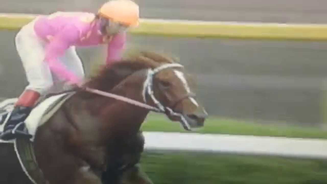 【競馬・菊花賞】ミホノブルボンの三冠は固いよな？