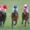 【競馬】グレーターロンドン、東京新聞杯で騎乗する川田と初コンタクト