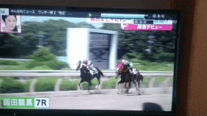 【競馬】藤田菜七子ちゃん園田で落馬 【競馬】藤田菜七子ちゃん園田で落馬
