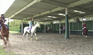 【競馬】レッツゴードンキ、みんなのKEIBAのカメラに興味津々（※動画あり）