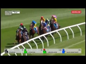 【競馬】トーセンスターダム引退、豪州ウッドサイド・パーク・スタッドで種牡馬に