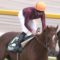 【競馬/阪神大賞典】<<注意喚起>>　アルバートはムーア→福永　繰り返すムーア→福永