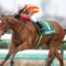 【競馬】柴山の落ちぶれ具合がすごい