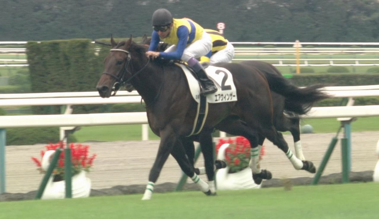【競馬】弥生賞、サトノフラッグに武豊がキターーーーー! 【競馬】弥生賞、サトノフラッグに武豊がキターーーーー!
