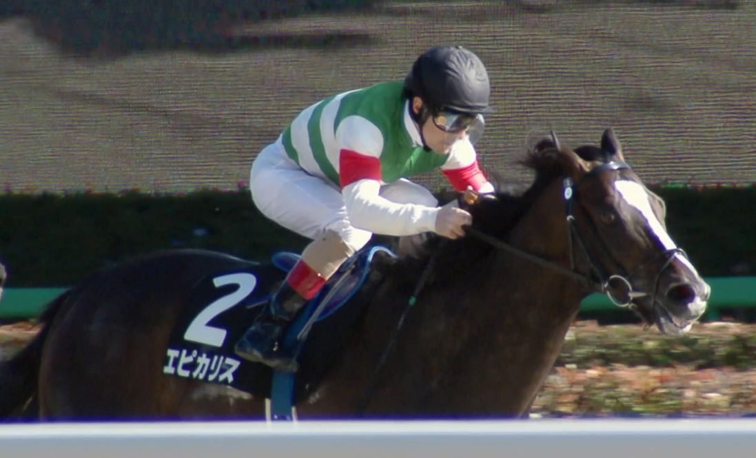 【地方競馬】リッカルドの10倍強い地方移籍初戦のエピカリスが南関のただのオープン特別を走るが一体どれだけ圧勝するのか? 【地方競馬】リッカルドの10倍強い地方移籍初戦のエピカリスが南関のただのオープン特別を走るが一体どれだけ圧勝するのか?