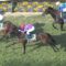 【競馬/NHKマイルC】何故キョウヘイに柴田を乗せないのか