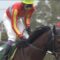 【競馬/阪神C】ダンスディレクターってもっと早く武豊が乗っていたらG1勝っていたんじゃ・・・