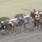 【競馬】阪神10R 竹之下とかいう5流騎手。テイエムジンソクでまた勝てない