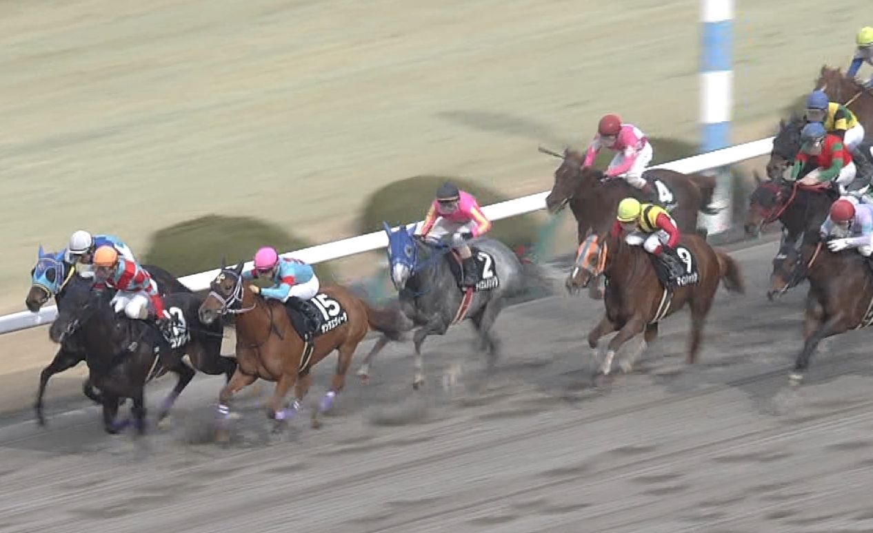 【競馬】阪神10R 竹之下とかいう5流騎手。テイエムジンソクでまた勝てない 【競馬】阪神10R 竹之下とかいう5流騎手。テイエムジンソクでまた勝てない