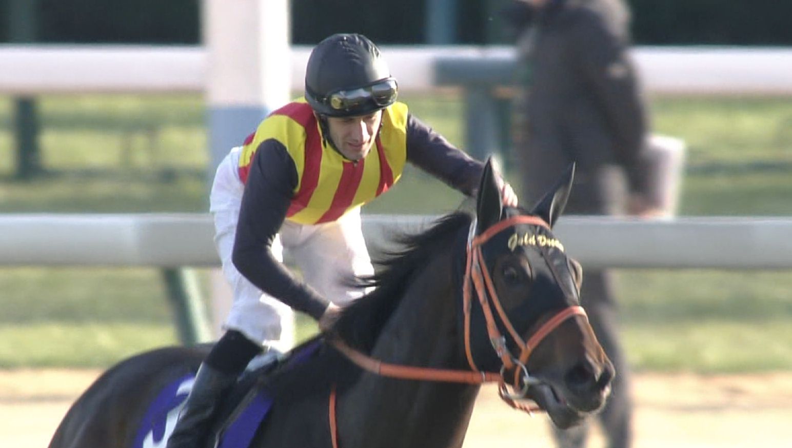 【競馬】デムーロ21勝 ルメール20勝 田辺18勝 【競馬】デムーロ21勝 ルメール20勝 田辺18勝