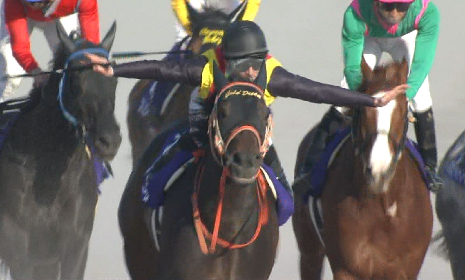 【競馬】M・デムーロ騎手 JRAでも2日間騎乗停止 【競馬】M・デムーロ騎手 JRAでも2日間騎乗停止