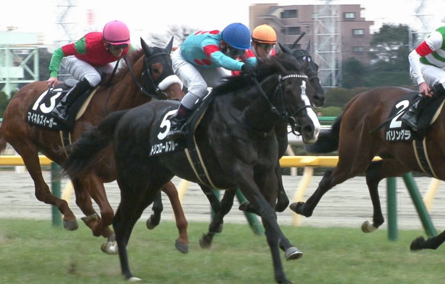 【競馬】戸崎騎手トリコロールブルーで菊参戦へ