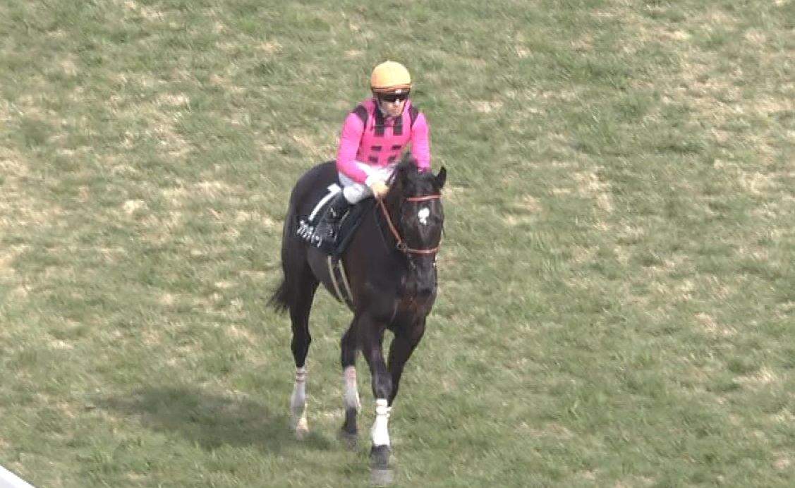 【競馬/皐月賞】ファンディーナ、レイデオロ、スワーヴリチャード、カデナどれが一番人気になるの？？