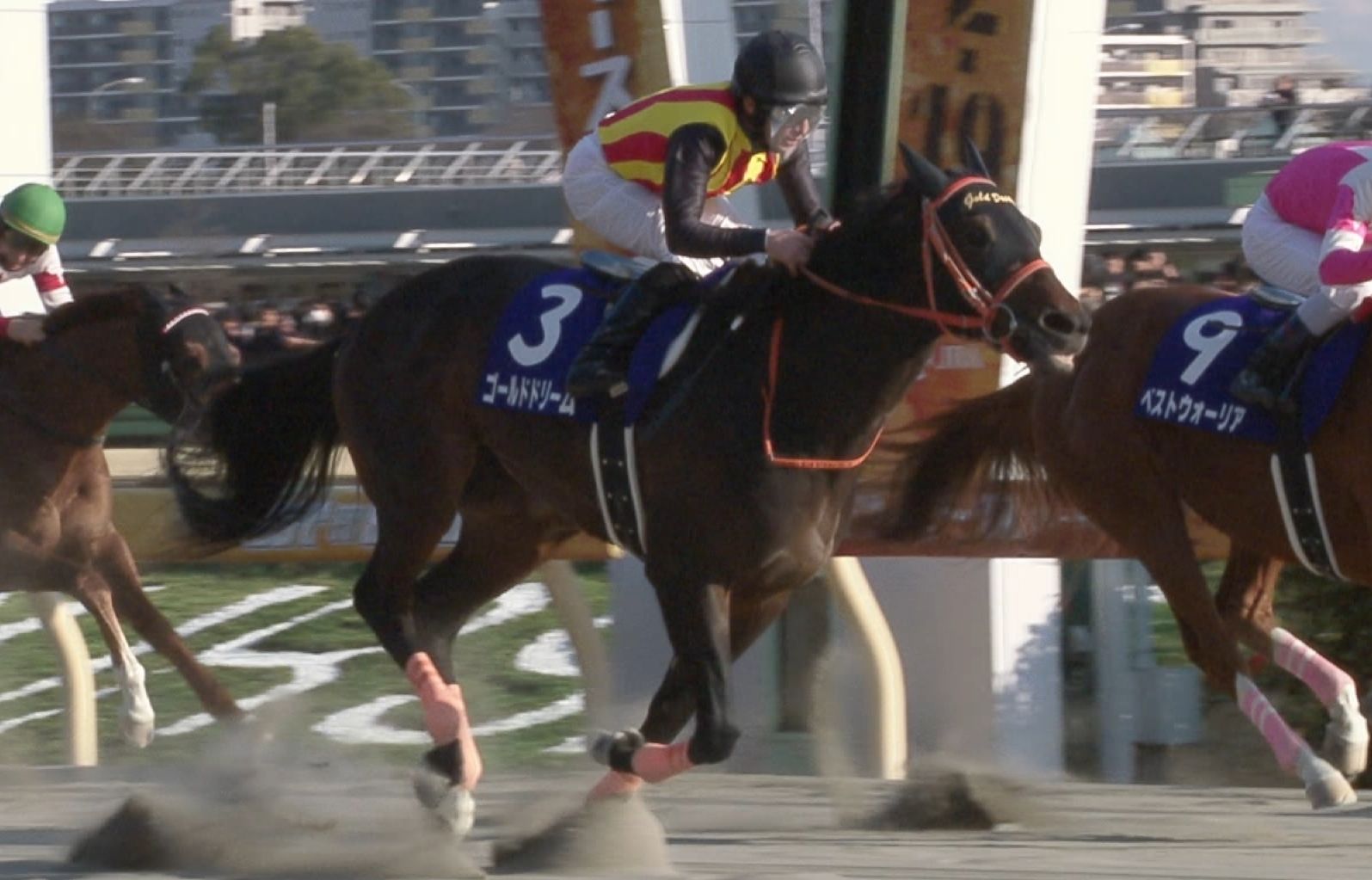 【競馬】サウジカップ（1着11億円）にクリソベリルとゴールドドリームが引退撤回して参戦