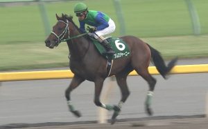 【競馬】柴田善臣「目先の勝利よりも馬に競馬を教える過程が楽しい」→秋華賞12着「ハミを取らなかったね(笑」