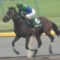 【競馬】柴田善臣は何で先生って呼ばれてるの？