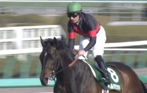 【競馬】休み明けのペルシアンナイトｗｗｗｗｗｗｗｗｗ