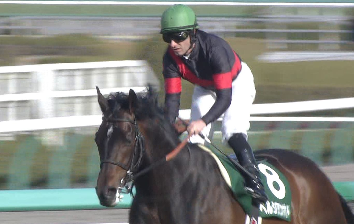 【競馬】サトノアレスはダービー回避へ、ペルシアンナイトは戸崎でダービー決定!! 【競馬】サトノアレスはダービー回避へ、ペルシアンナイトは戸崎でダービー決定!!