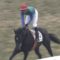 【競馬】武幸四郎調教師が恐らく預かろうであろう馬主一覧