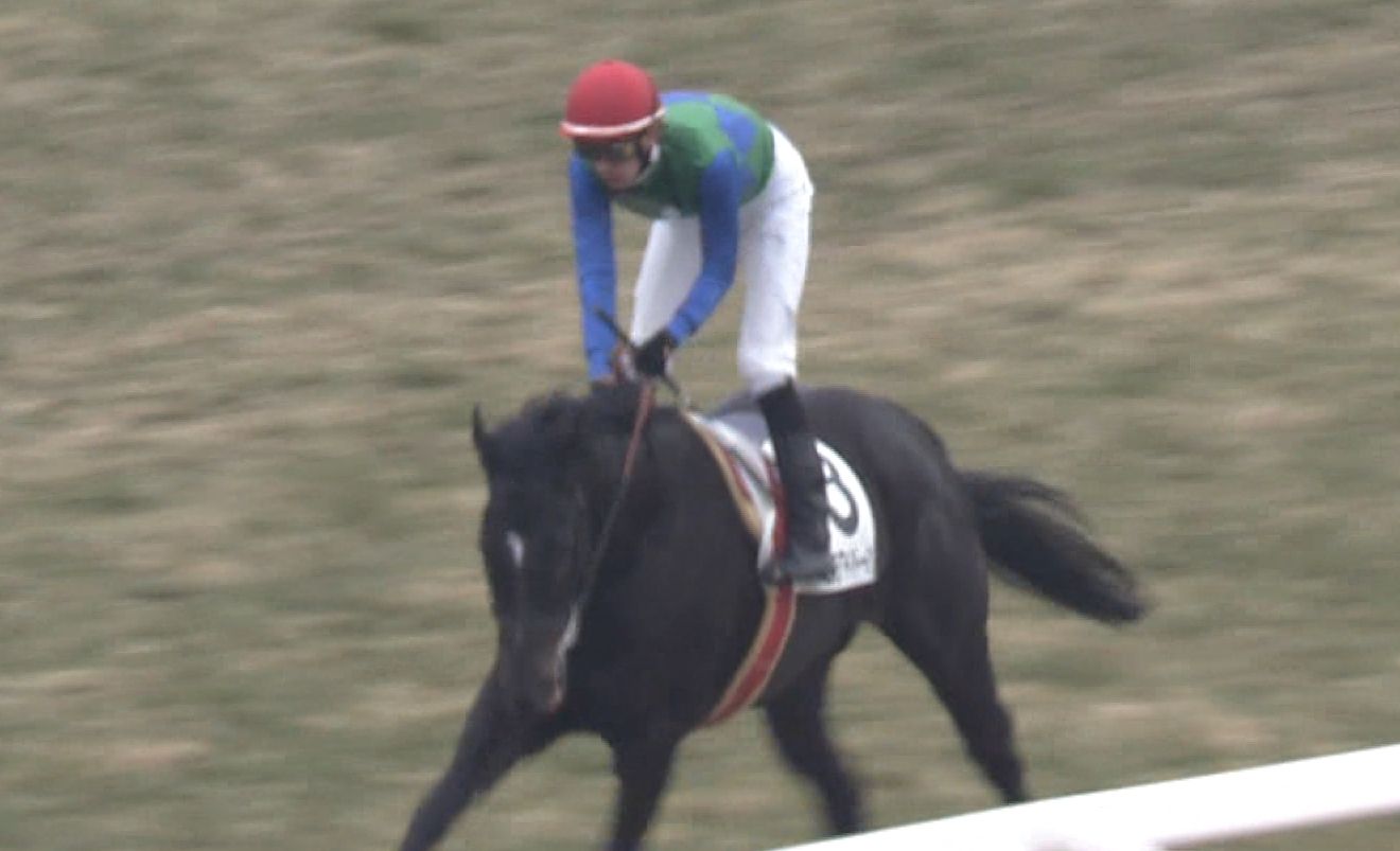 【競馬】武幸四郎調教師が恐らく預かろうであろう馬主一覧