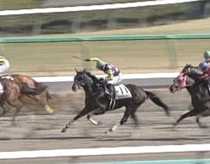 【競馬】中山8R 北村宏司手綱抑えながらムチ連打wwwwwwww 【競馬】中山8R 北村宏司手綱抑えながらムチ連打wwwwwwww