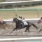 【競馬】中山8R 北村宏司手綱抑えながらムチ連打ｗｗｗｗｗｗｗｗ
