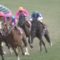 【競馬】ジャンプG1のファンファーレカッコ良すぎワロタw