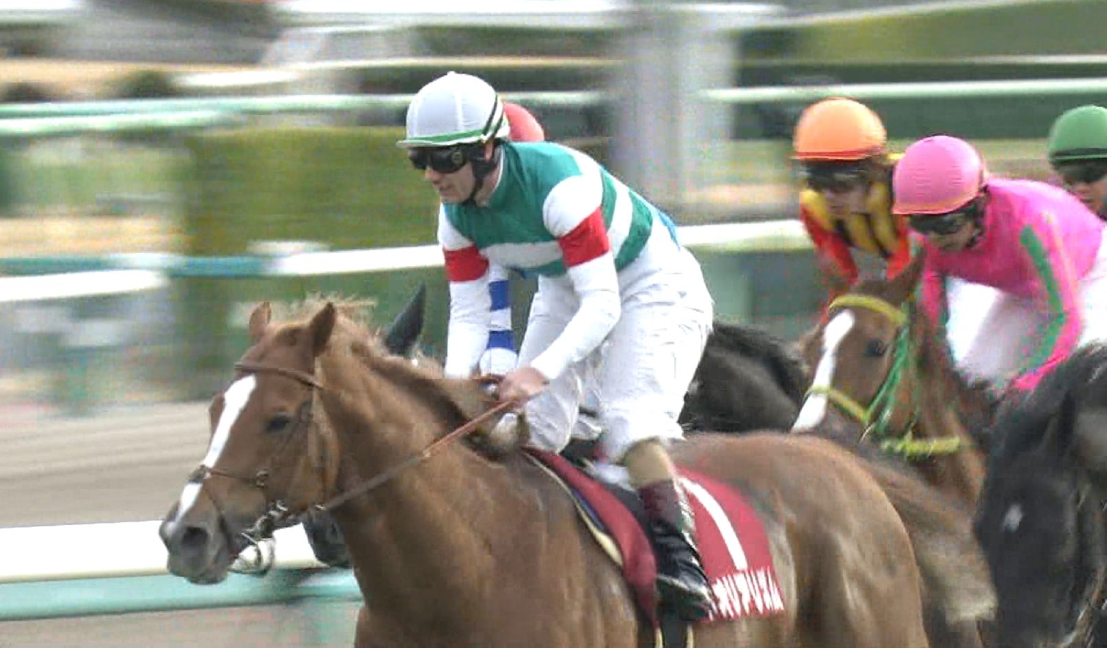 【競馬】ネオリアリズム、春は全休。復帰は札幌記念 【競馬】ネオリアリズム、春は全休。復帰は札幌記念