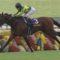 【競馬】サトノダイヤモンドは戸崎で大阪杯へ