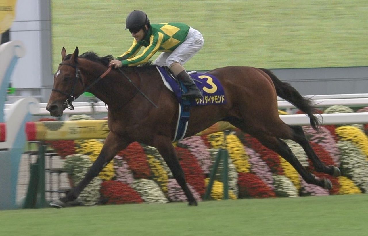 【競馬/天皇賞春】デイリー 日曜京都の危険な人気馬にサトノダイヤモンドを指名 【競馬/天皇賞春】デイリー 日曜京都の危険な人気馬にサトノダイヤモンドを指名