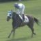 【競馬】藤田菜七子ちゃん今年初勝利