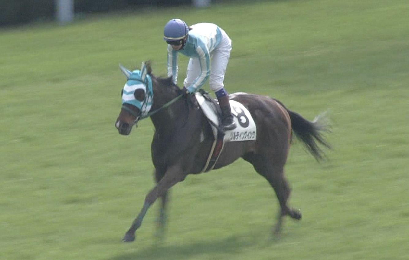【競馬】藤田菜七子ちゃん今年初勝利 【競馬】藤田菜七子ちゃん今年初勝利