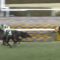 【競馬/安田記念】トーキングドラム、一発あるよ