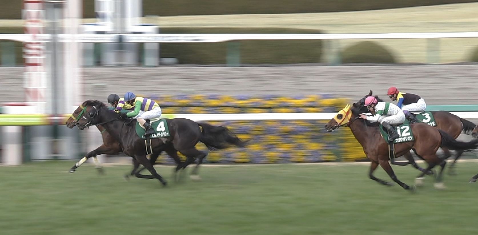 【競馬/安田記念】トーキングドラム、一発あるよ 【競馬/安田記念】トーキングドラム、一発あるよ