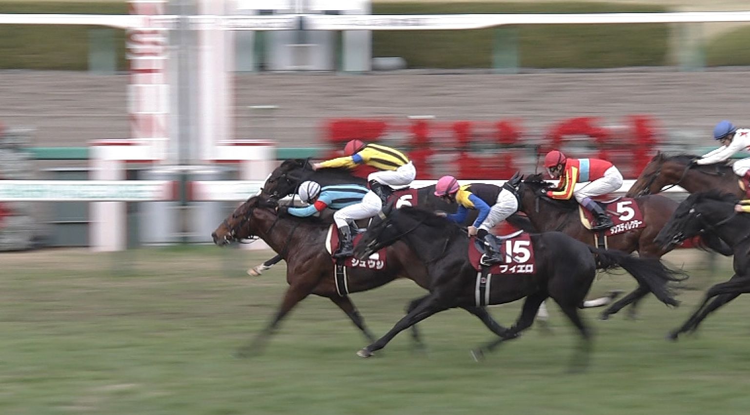 【競馬】シュウジから買おうと思うんだが武豊への鞍上弱化だけが不安要素