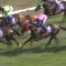 【競馬】歴代有馬記念馬の中から特に強いの16頭集めてレースしたらサクラローレルが勝つと思う