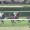 【競馬】グレーターロンドンって何で山吹賞だけ負けたの？【7戦6勝】