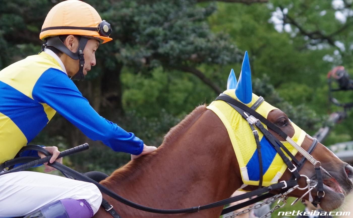 【競馬】サトダイ&マカヒキ「まだだ…まだ俺たち世代にはエアスピネルがいる…」