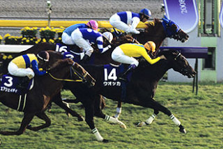 【競馬】なぜアンカツは天皇賞秋を最悪の騎乗と卑下するのか