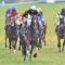 【競馬】大井金盃、東京ダービー馬カイル復活V＆12番人気トーセンブル2着で大荒れｗｗｗｗｗｗｗｗｗｗｗ