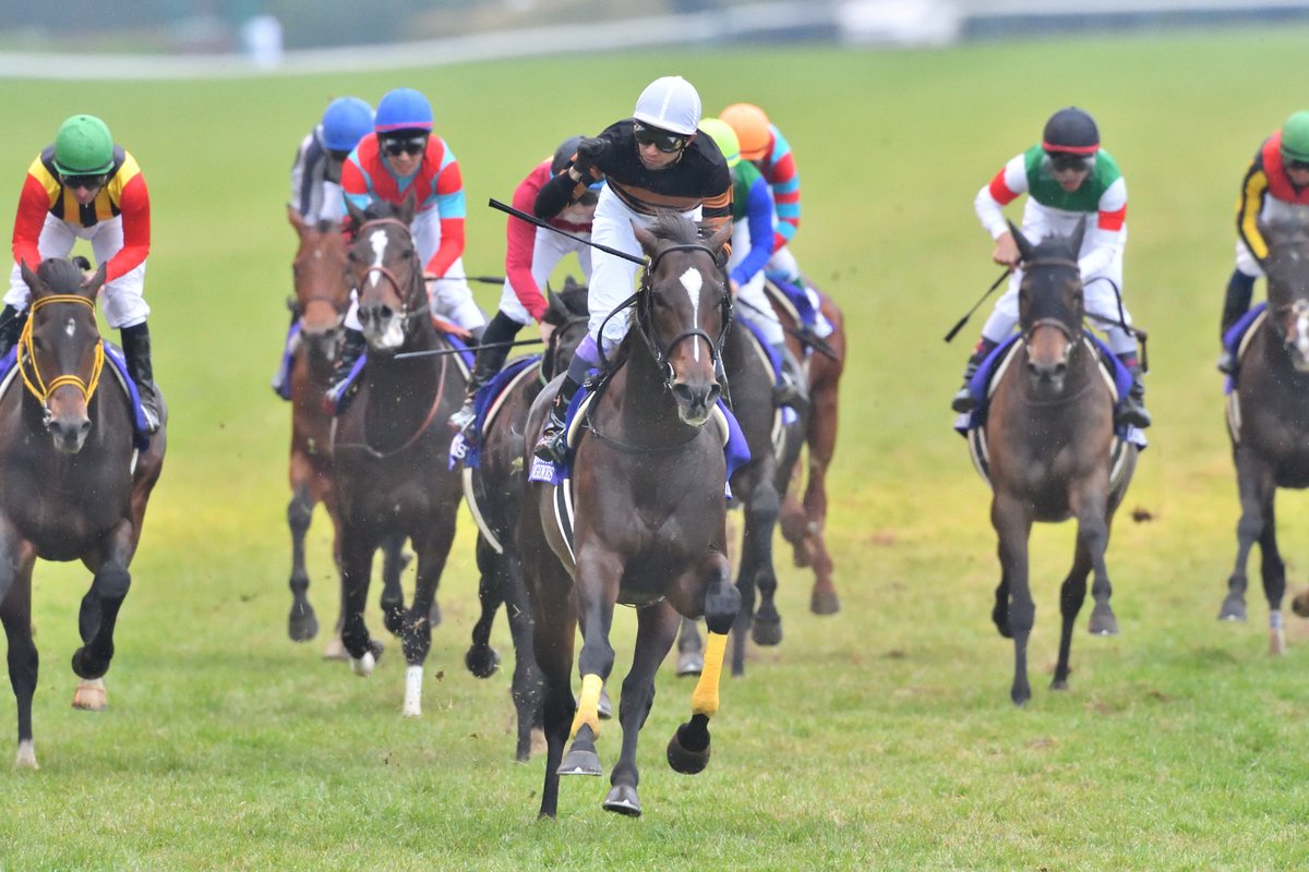 【競馬】大阪杯も、どうせキタサンブラックが１枠入るだろ、と思っているヤツ
