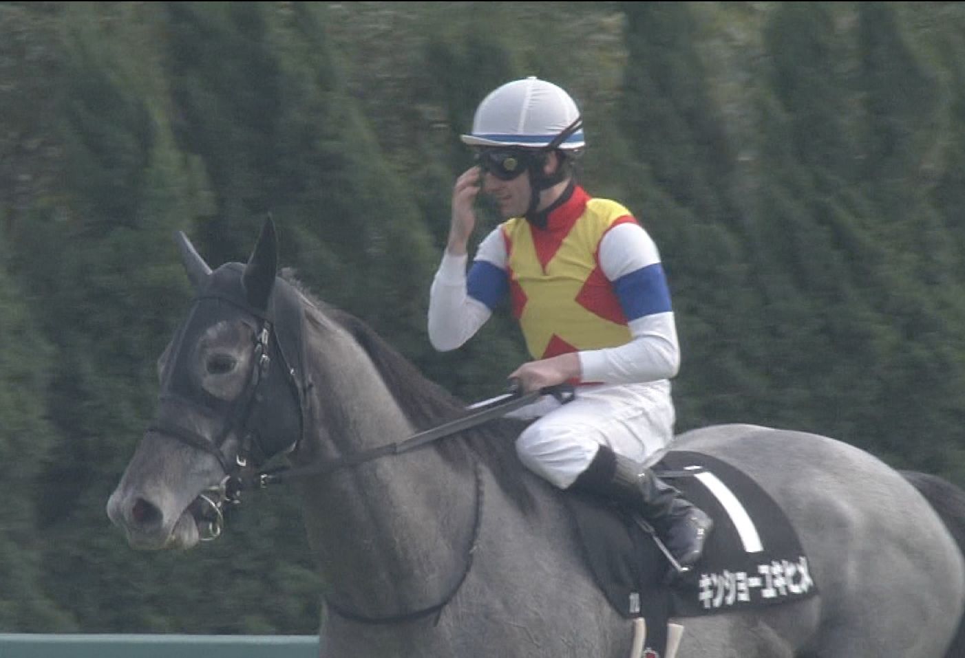 【競馬】デムーロ４戦４勝で月曜日を終えるｗｗｗｗｗｗｗｗｗｗ