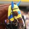 【競馬】エアスピネル着順　1→1→2→3→4→4→5→3→1→3→2→5