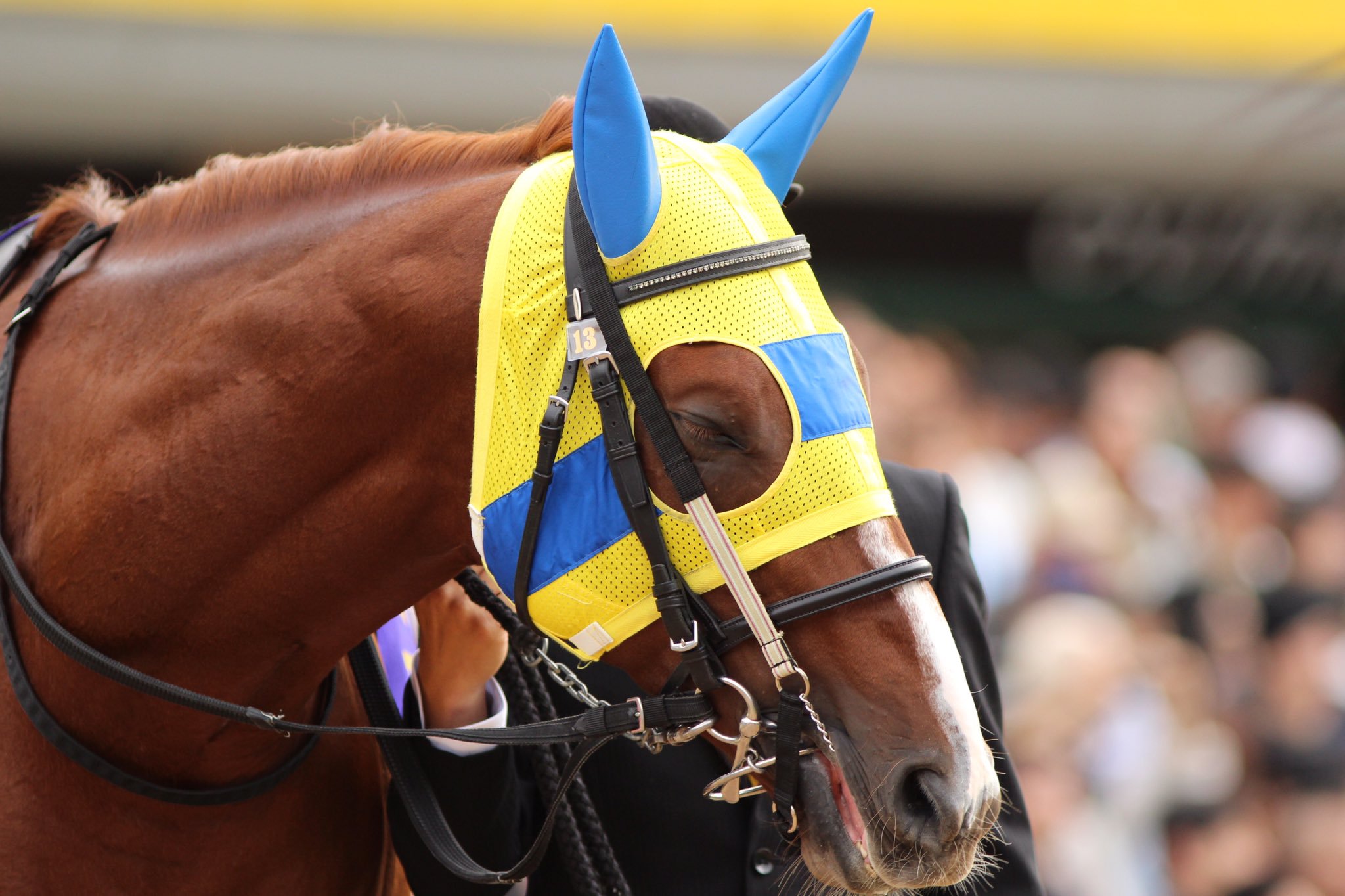 【競馬】エアスピネル着順　1→1→2→3→4→4→5→3→1→3→2→5