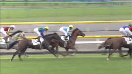 【競馬】ヴィクトワールピサ vs ペルーサ のダービーｗｗｗｗｗｗｗｗｗｗ
