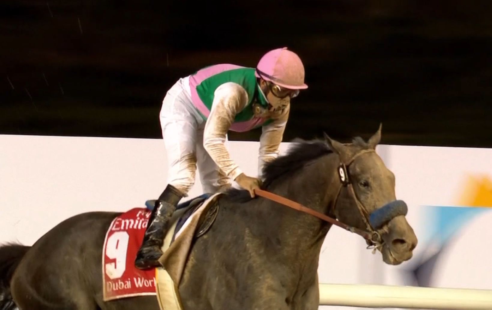 【競馬】ペガサスWC、総賞金1600万ドルに増額 【競馬】ペガサスWC、総賞金1600万ドルに増額