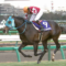 【競馬/有馬記念】オジュウ1番枠って普通に乗りづらくね？
