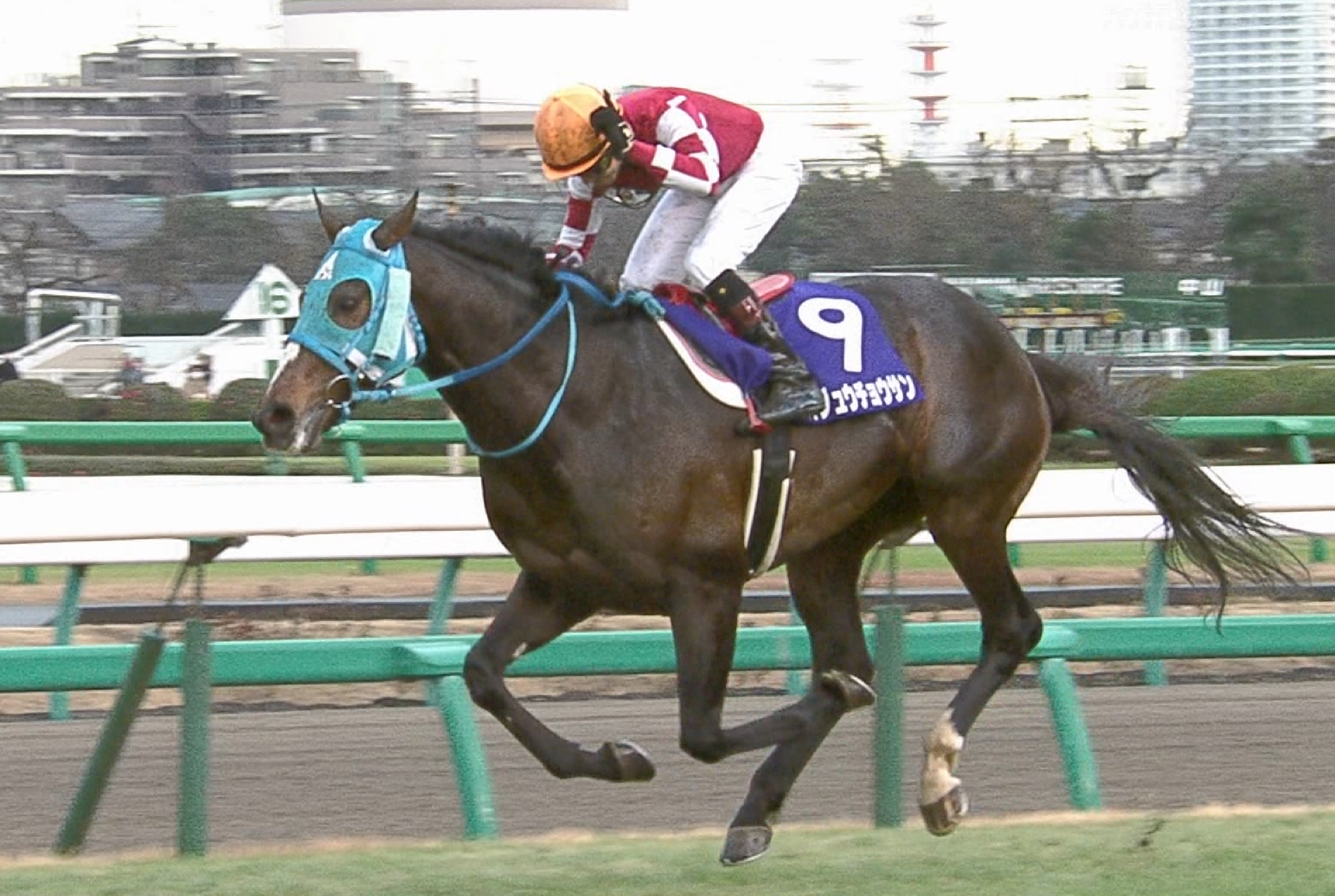 【競馬】ジャパンカップの18番枠に入れてみたい馬